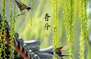 春分｜春雨润物，万物均分